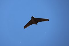 0d2c58ecb83a6917a68f8cb032219343.jpg
